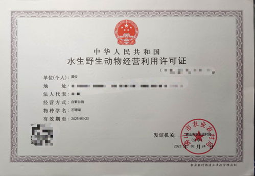 攜手專業力量，共拓水產健康養殖新篇章——誠邀各省市代理加盟