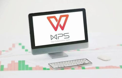 WPS升級(jí)后如何輕松回退至舊版本？詳細(xì)指南助你無(wú)憂(yōu)切換